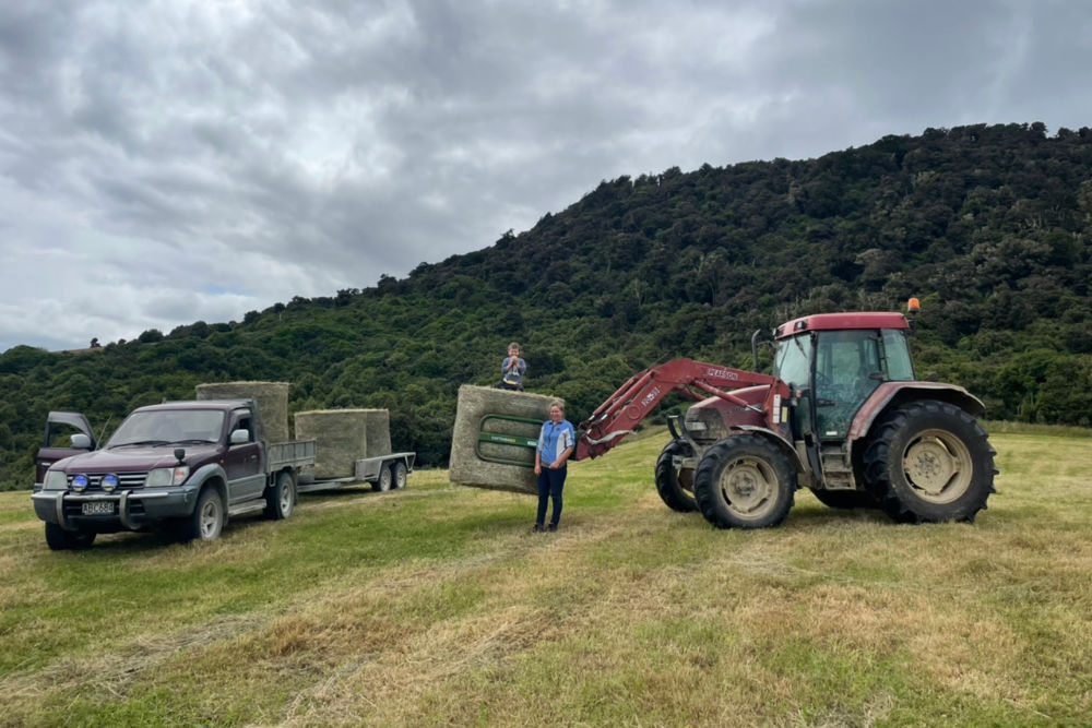 McGill organic hay