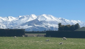 Scotsburn Farm